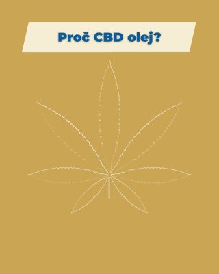 Vaše tajná zbraň na podzimní neduhy 🤯 Zlepšete svůj spánek, zbavte se stresu a úzkostí a podpořte imunitu - to vše vám...